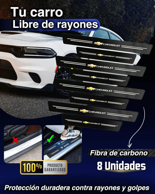Protectores de carro