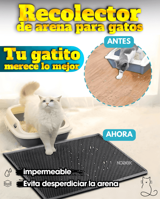 RECOLECTOR ARENA GATOS
